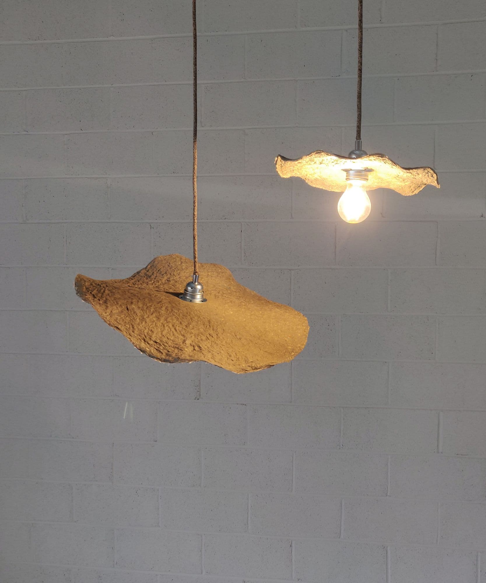 The seaweed light designed by Ty Syml for the Jolene bakery sites seen here hanging from the ceiling