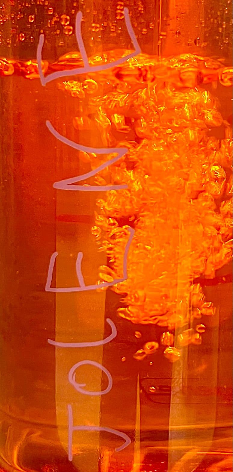 Jolene Water Bottle