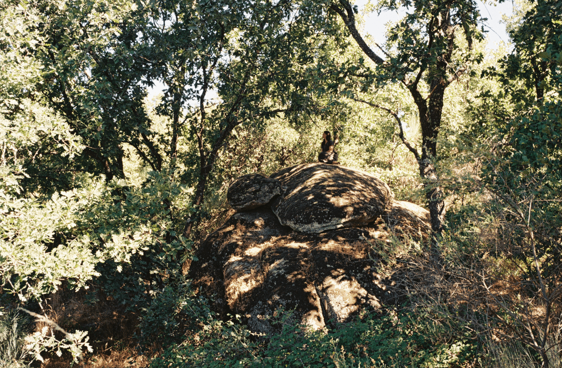 Jolene in conversation with the rural school of the arts