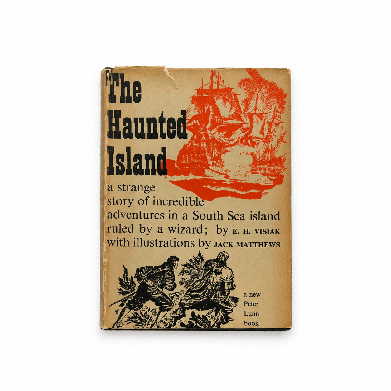 The haunted island book