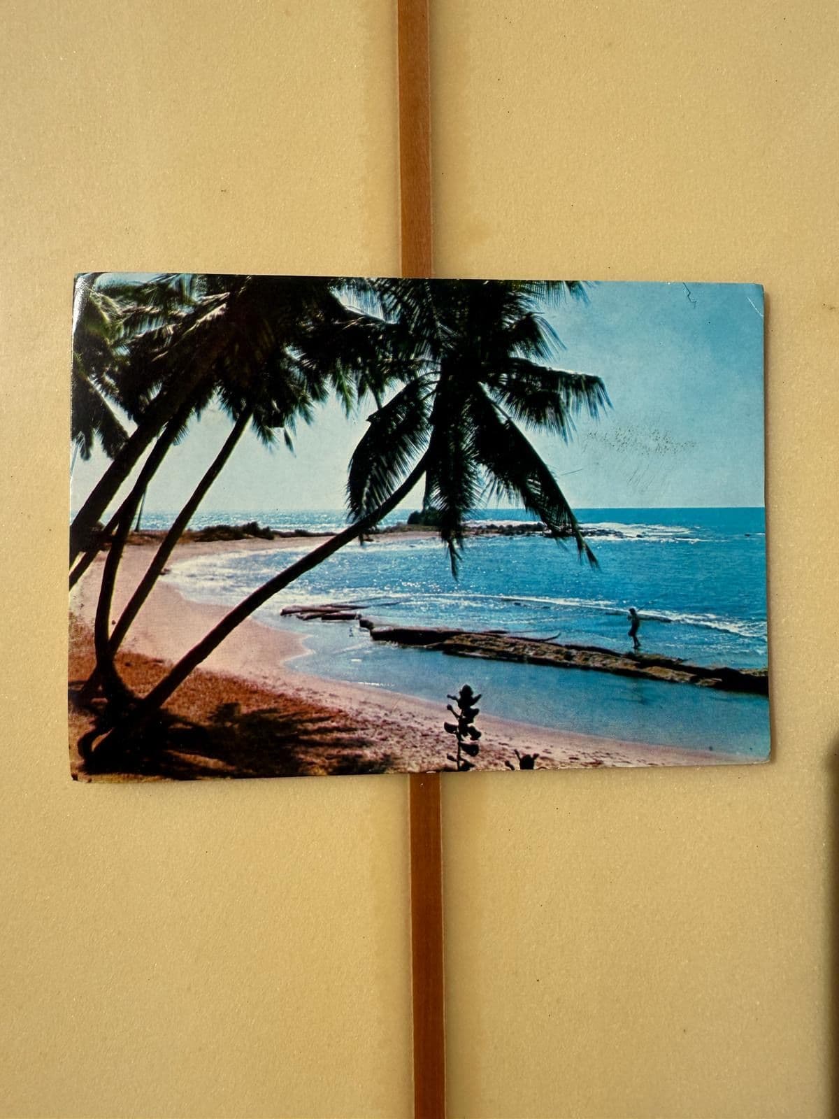 Jolene Bakery London Postcard to the Universe Story